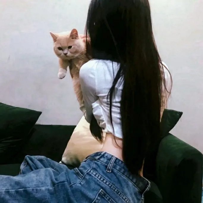 魔法灵猫 在线观看
