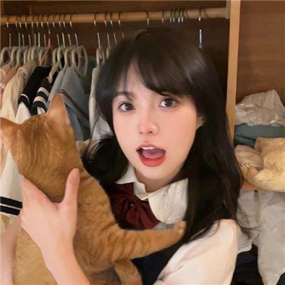 翠迪斗黑猫 在线观看